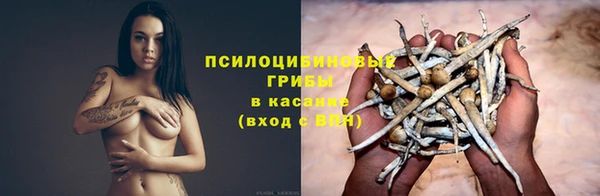 бошки Беломорск